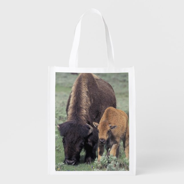 NA, USA, Wyoming, Yellowstone National Park. Grocery Bag (Front)