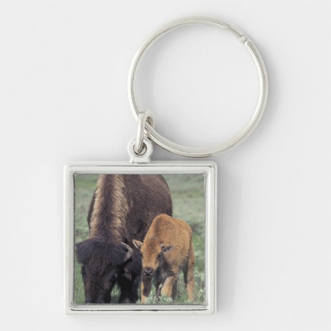 NA, USA, Wyoming, Yellowstone National Park. Keychain (Front)