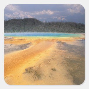 NA, USA, Wyoming, Yellowstone NP, Grand Square Sticker