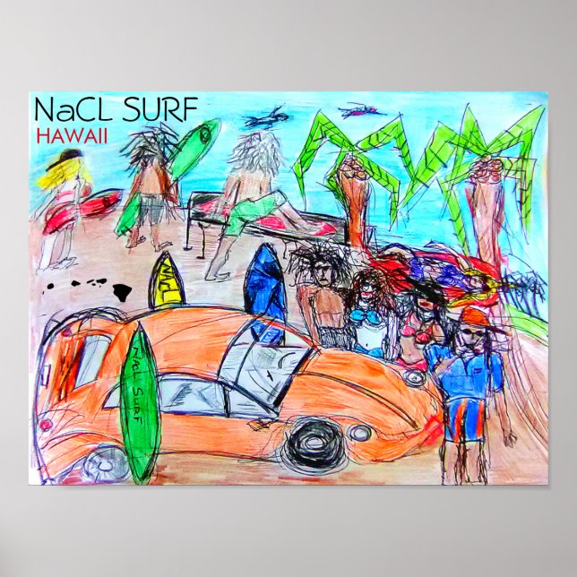 NaCL SURF HAWAII Poster (Front)