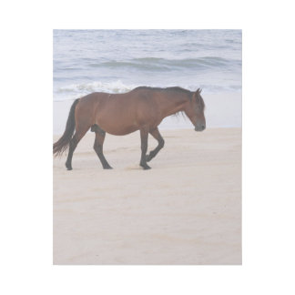 Nag on the Beach, Outer Banks North Carolina Gallery Wrap