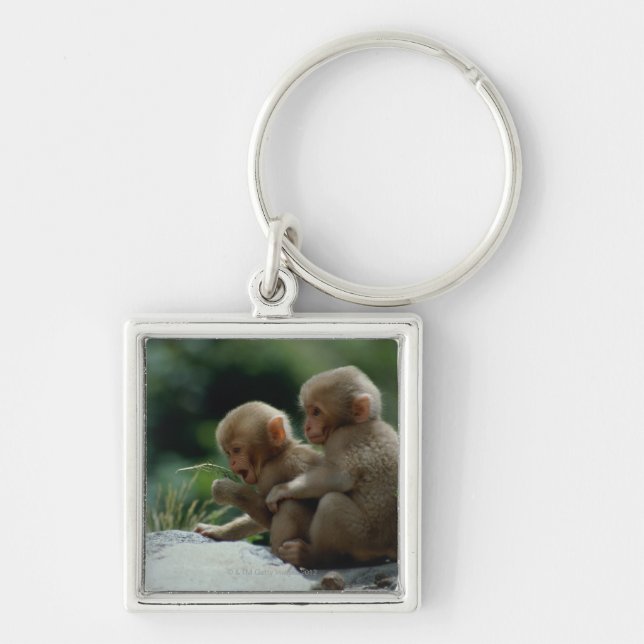 Nagano Prefecture, Japan Keychain (Front)