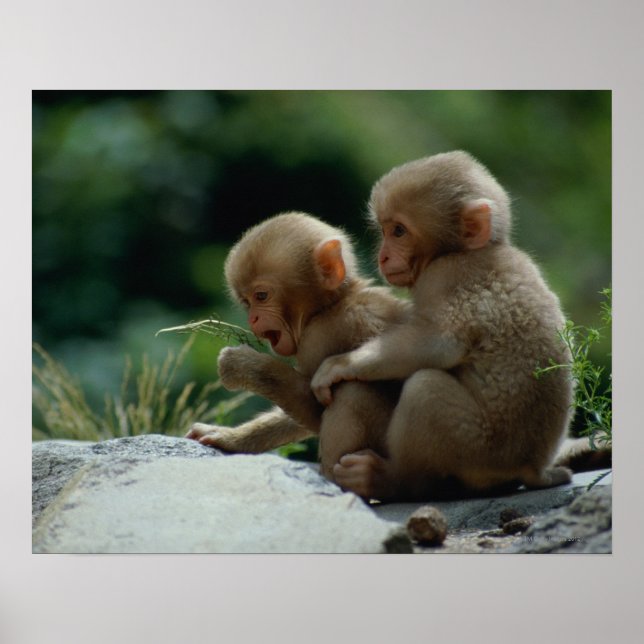 Nagano Prefecture, Japan Poster (Front)