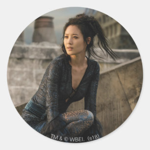 Nagini on Rooftop Photo Classic Round Sticker
