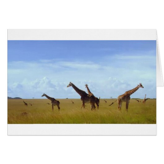 Nairobi National Park Giraffes (Front Horizontal)