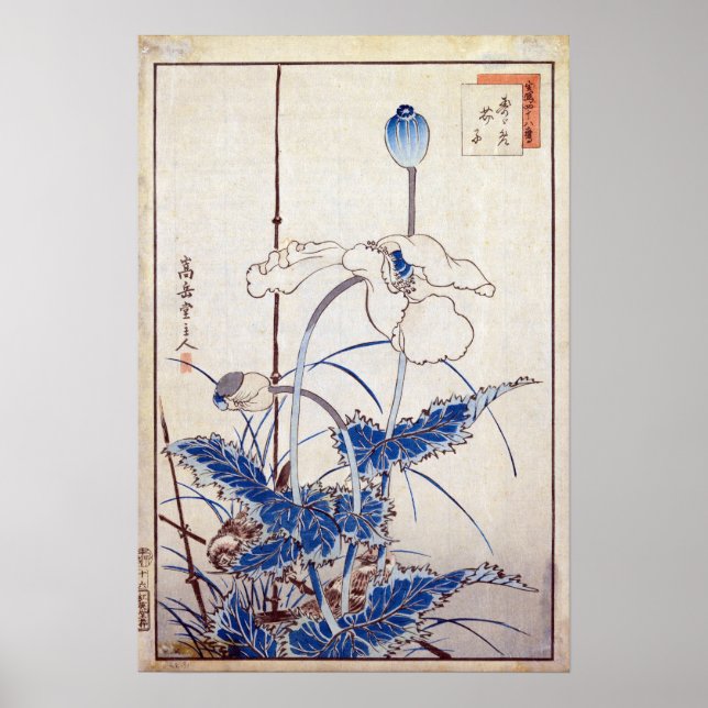 Nakayama  Sugakudo Bird over Poppies Poster (Front)