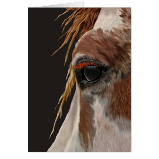 Nakota Horse Cards (Front)