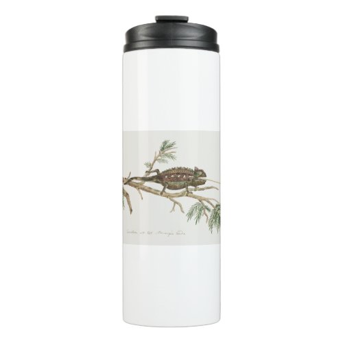 Namaqua chameleon Lizard Reptile Gecko Thermal Tumbler