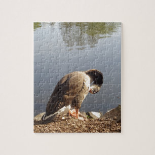 Namaste Goose bows head, Nature, Wildlife, Birds Jigsaw Puzzle