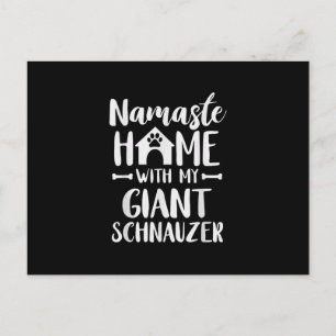 Namaste Home Giant Schnauzer - Schnauzer Lover Postcard