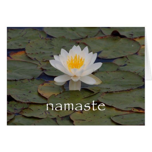 Namaste Lotus Blossom (Front Horizontal)