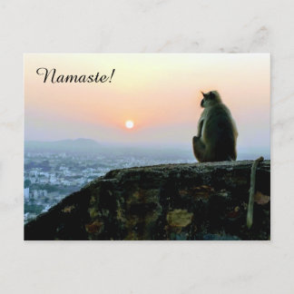 Namaste Meditation Yoga Monkey in India at Sunset Postcard