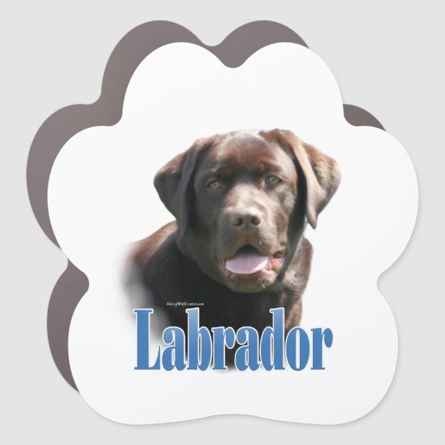 Name Chocolate Labrador Retriever  Car Magnet (Front)
