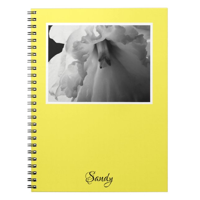 Name Daffodil Black and White Photography Notebook (Front)
