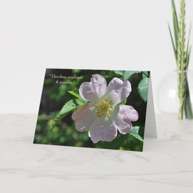 Name Day card in Czech (Front)