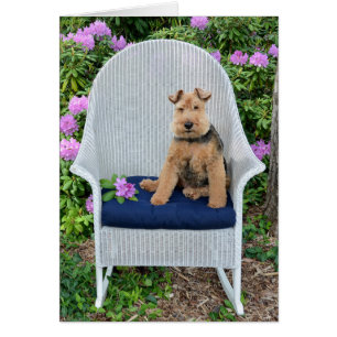 Name Day-Welsh Terrier on wicker chair Cards