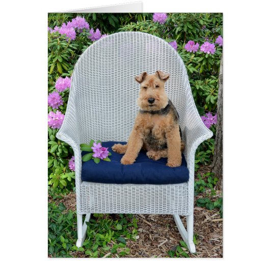 Name Day-Welsh Terrier on wicker chair Cards (Front)