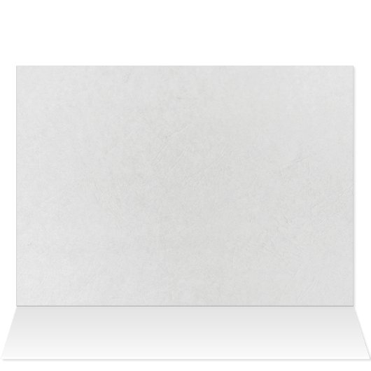 Name Day white daisies in garden (Inside Horizontal (Top))