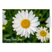 Name Day white daisies in garden (Front Horizontal)