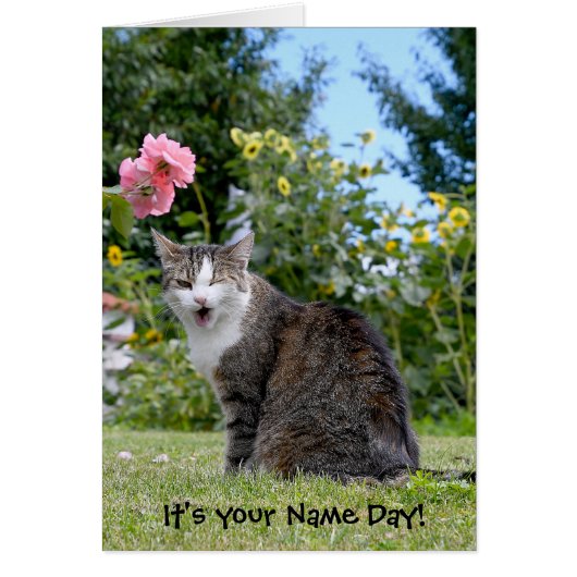 Name Day winking tabby cat Cards (Front)