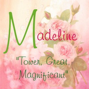 meaning of name refrigerator magnets zazzle
