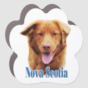Name Nova Scotia Duck Tolling Retriever Car Magnet