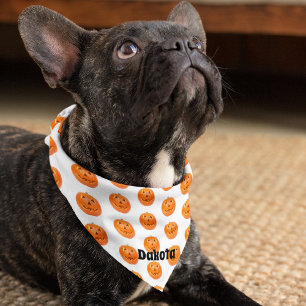 Name on 18x18 Small Dogs, Carved Pumpkins Bandana