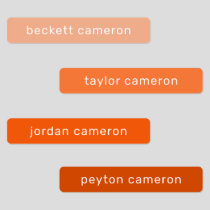 Name on Orange Adhesive Labels
