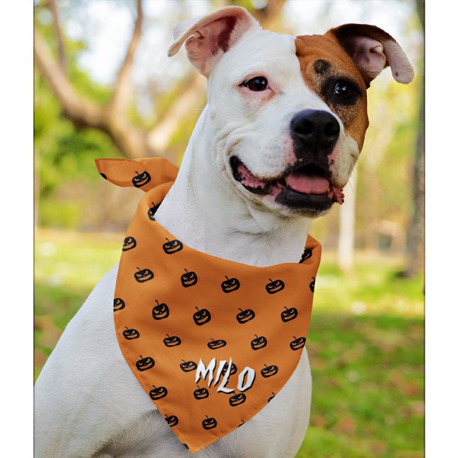 Name, Orange Halloween Jack o Lantern Dog Bandana (Creator Uploaded)
