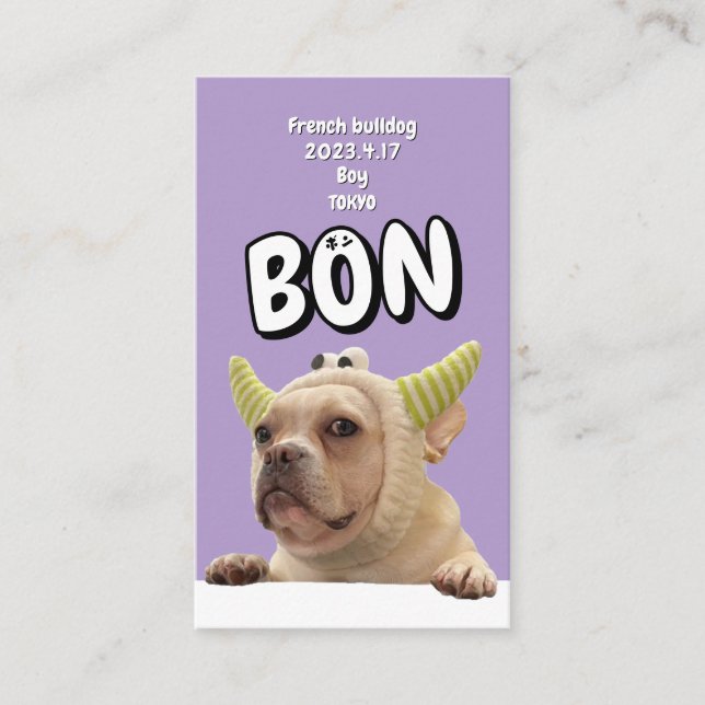 NameCard 8 Business Card (Front)