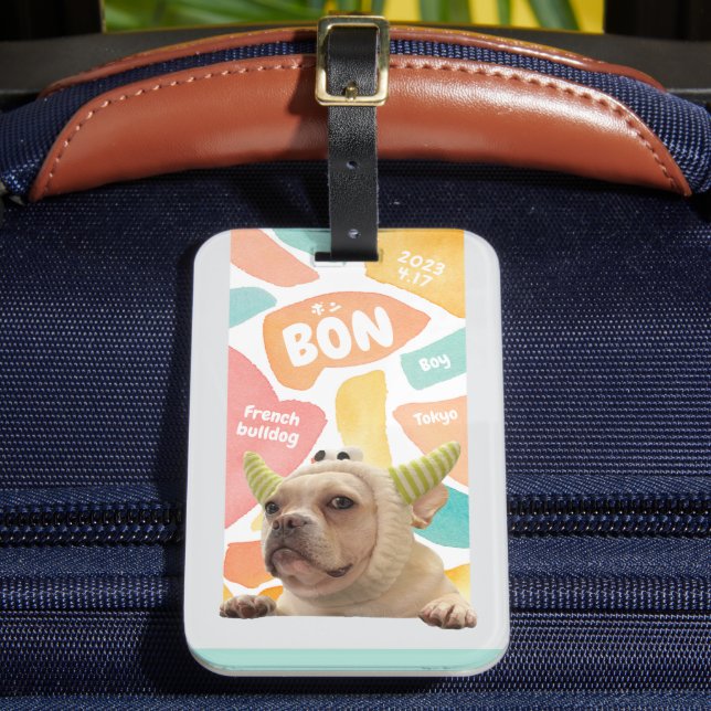 NameCard TAG (Front Insitu 2)