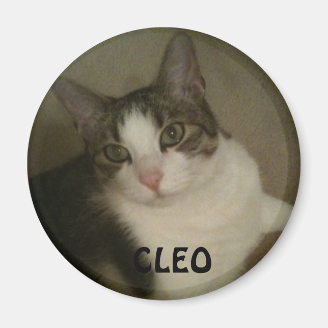 Named Pet Photo Magnet (Front)