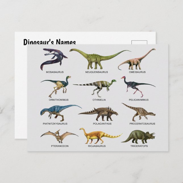 Names of Dinosaurs Holiday Postcard (Front/Back)