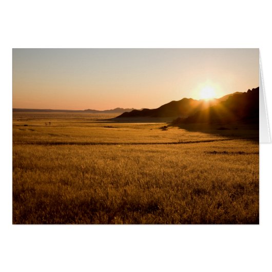 Namib Naukluft Park (Front Horizontal)