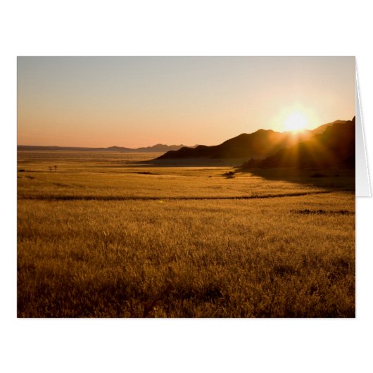 Namib Naukluft Park Cards (Front Horizontal)