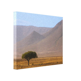 Namibia Africa Desert Scenery Landscape Nature Canvas Print