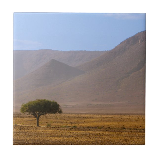 Namibia Africa Desert Scenery Landscape Nature Ceramic Tile (Front)
