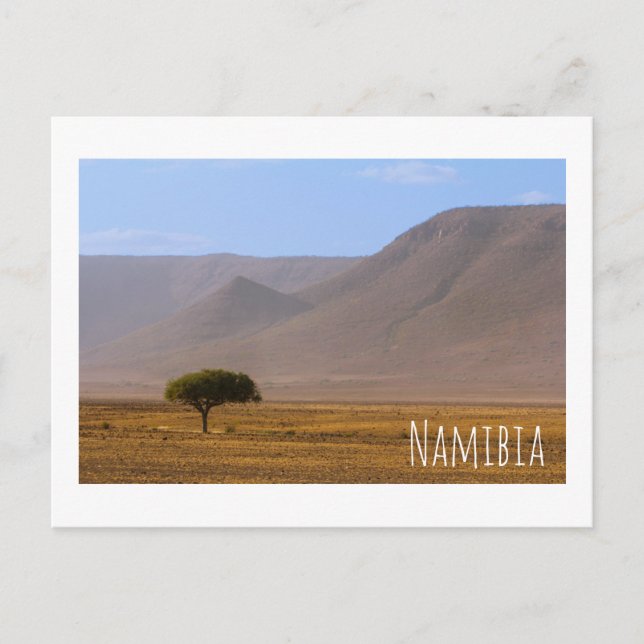 Namibia Africa Desert Scenery Landscape Nature Postcard (Front)