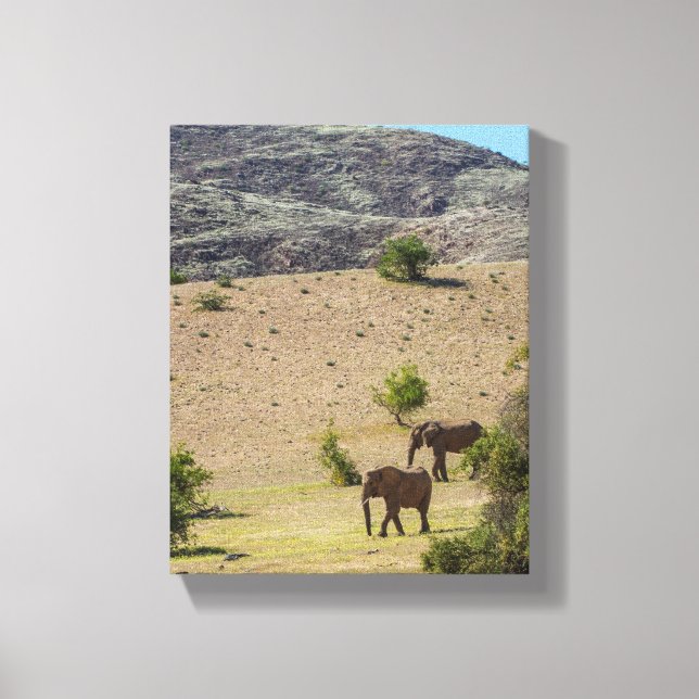 Namibia Africa Huab River Elephant Damaraland Canvas Print (Front)
