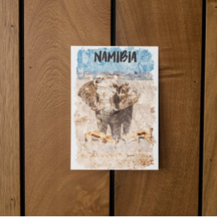 Namibia Africa Wildlife Safari Postcard
