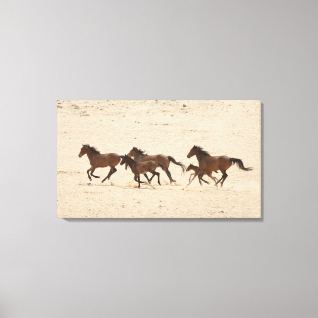 Namibia, Aus. Group of running wild horses on Canvas Print (Front)