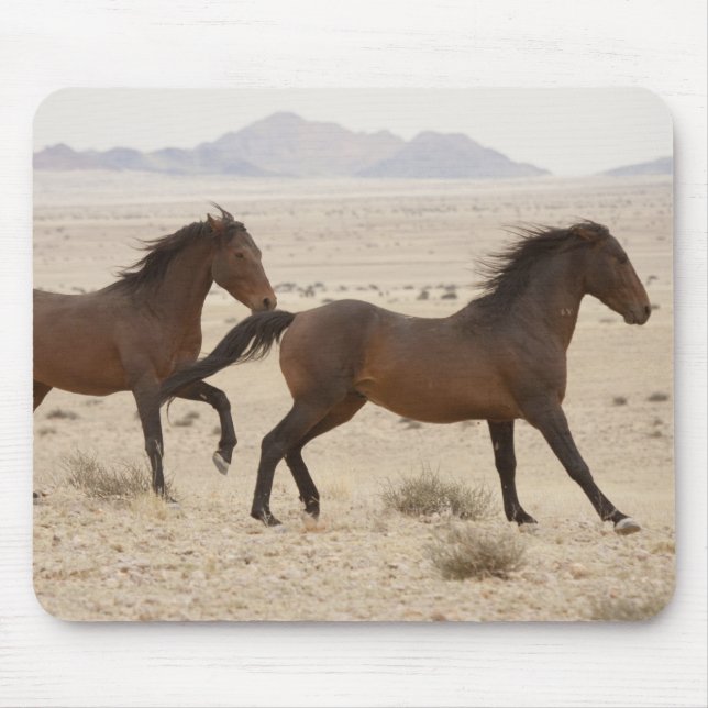 Namibia, Aus. Wild horses running on the Namib Mouse Pad (Front)