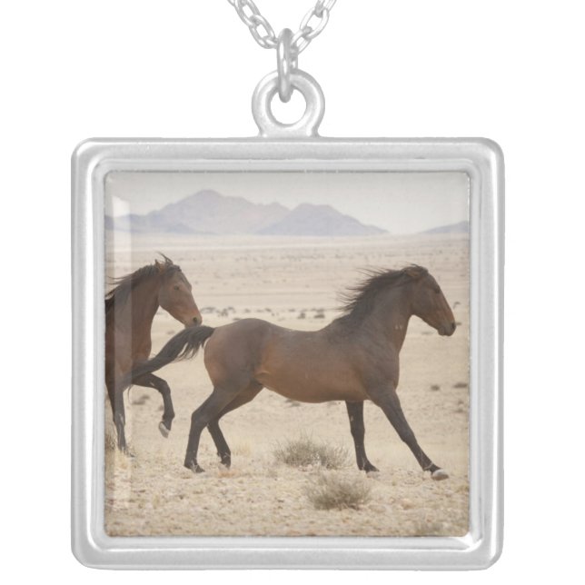 Namibia, Aus. Wild horses running on the Namib Silver Plated Necklace (Front)