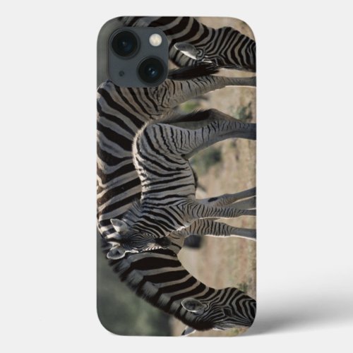 Namibia Etosha National Park Plain Zebra 1 iPhone 13 Case