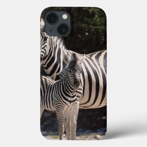Namibia Etosha National Park Plains Zebra 2 iPhone 13 Case