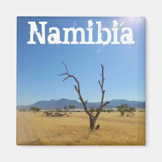 Namibia Marienfluss Savannah Landscape Nature Magnet (Front)