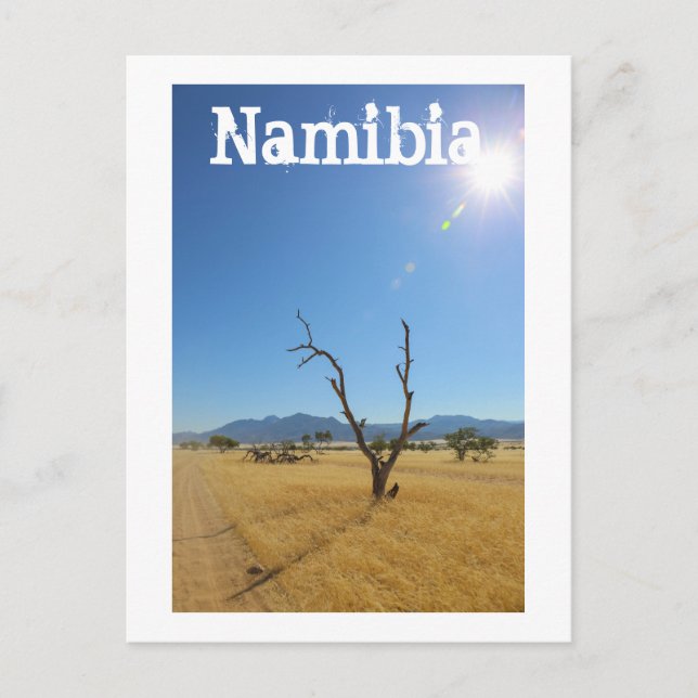 Namibia Marienfluss Savannah Landscape Nature Postcard (Front)