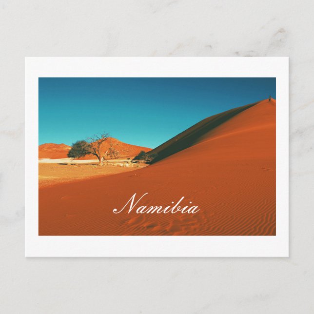 Namibia Sand Dunes Landscape Sossusvlei Postcard (Front)