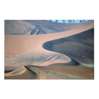 namibia sossusvlei faux canvas print