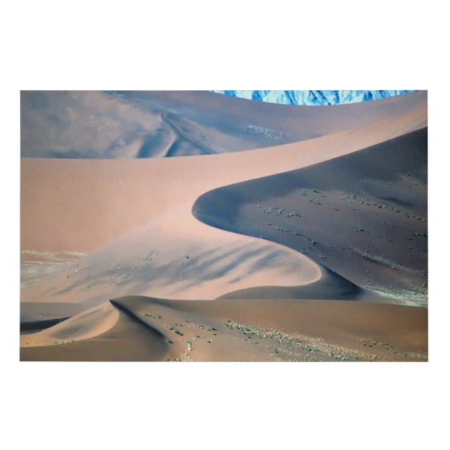 namibia sossusvlei  faux canvas print (Front)